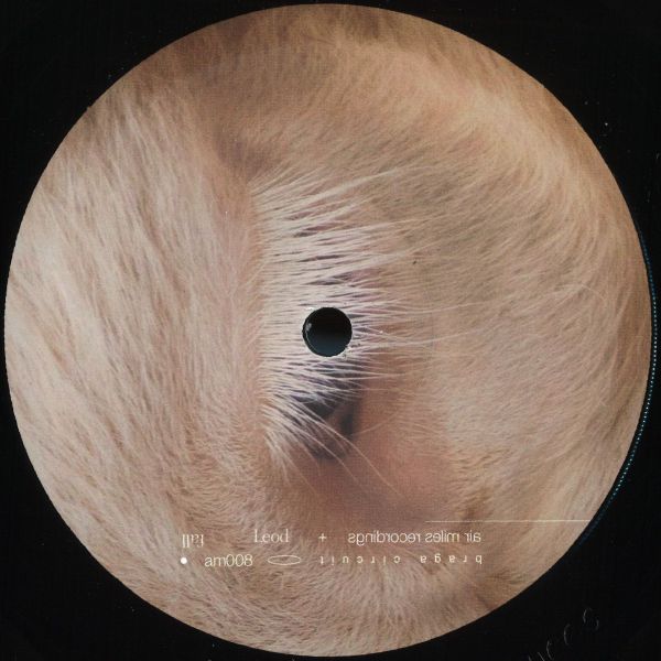Braga Circuit — Fall EP vinyl cover