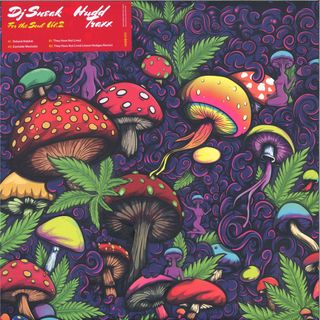 DJ Sneak — For The Soul Vol. 2 vinyl cover