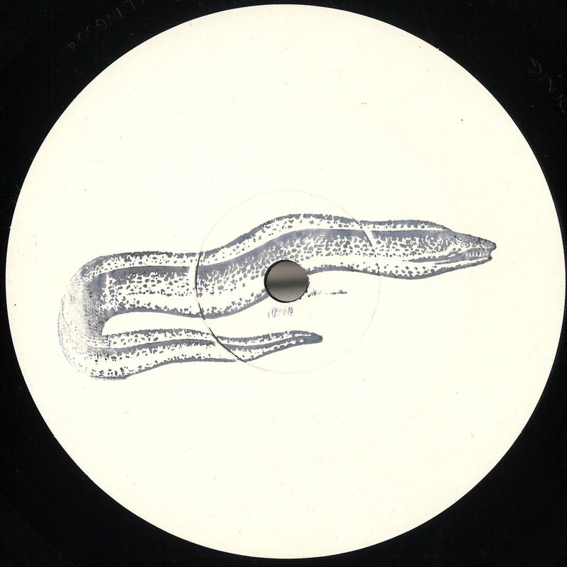 Tafkamp, Alex Ranzino — Paling Trax 4 vinyl cover