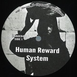 Other — Human Reward System vinyl cover