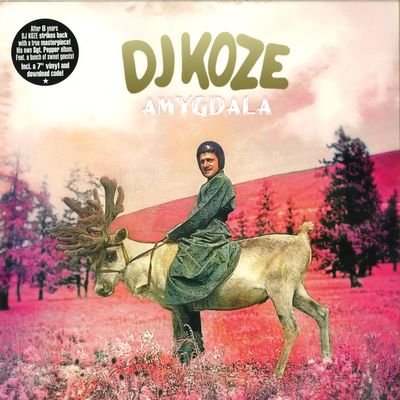 Dj Koze — Amygdala LP 2x12"+7'' vinyl cover
