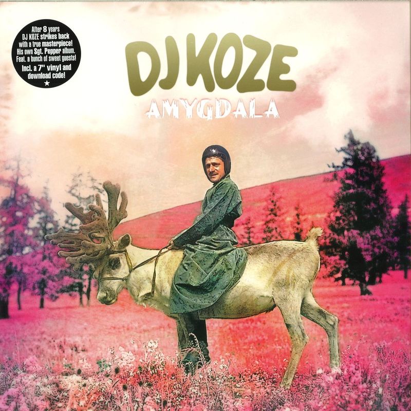 Dj Koze — Amygdala LP 2x12"+7'' vinyl cover