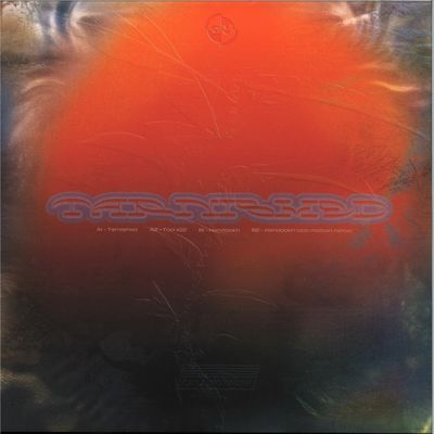 Hassan Abou Alam — Tarnished vinyl cover