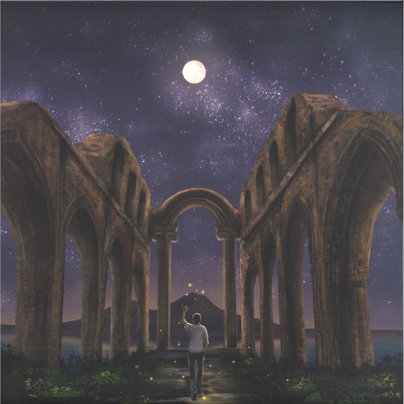 Collateral Intelligence — Butterflies In Funerals vinyl cover