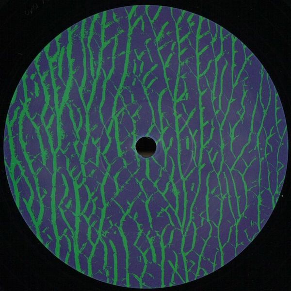 Herzel — Bitter Tears vinyl cover