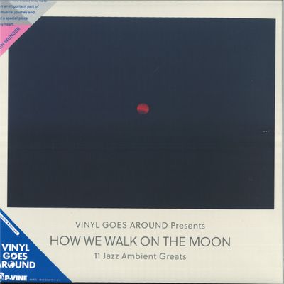 Various — HOW WE WALK ON THE MOON LP vinyl cover