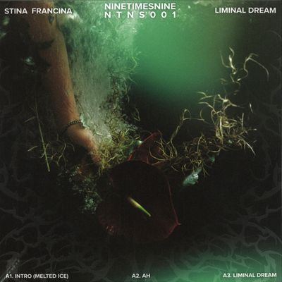 Stina Francina — Liminal Dream vinyl cover