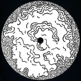 Ostrowski — Primary Fluctuation vinyl cover