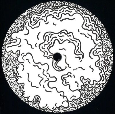 Ostrowski — Primary Fluctuation vinyl cover