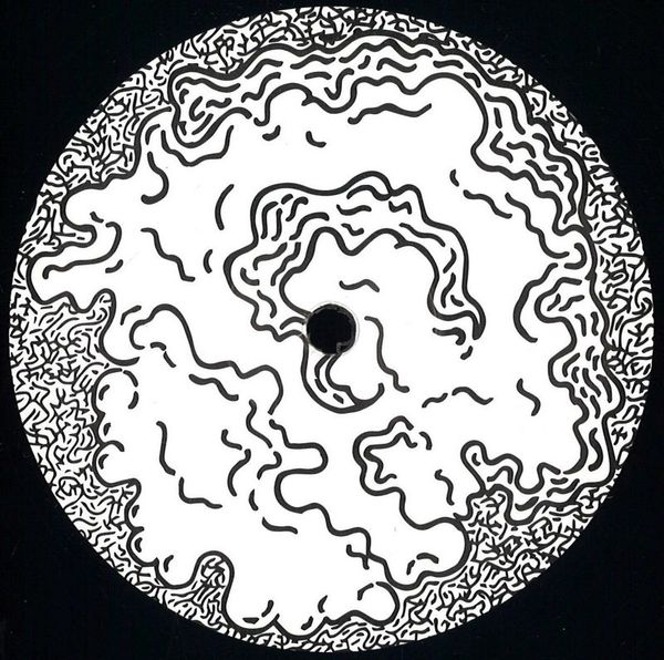 Ostrowski — Primary Fluctuation vinyl cover