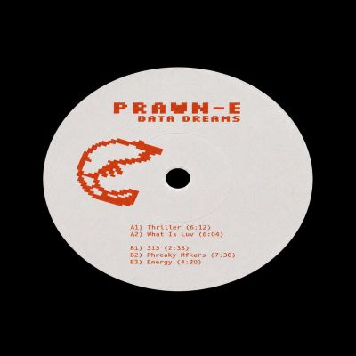 Prawn-E — Data Dreams vinyl cover
