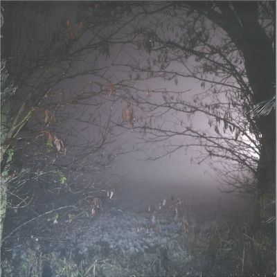 Earth Trax — Closer Now LP vinyl cover