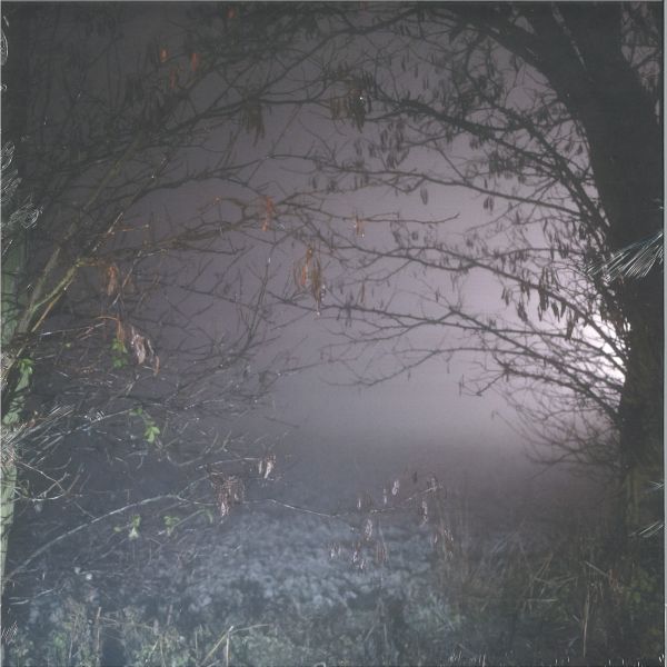 Earth Trax — Closer Now LP vinyl cover