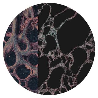 Dexter Colt — Syncretic vinyl cover