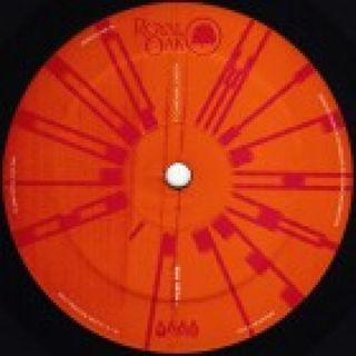 Michael J. Blood — Fixed Fire vinyl cover