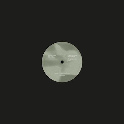 Red Rooms — Blind Spot EP vinyl cover