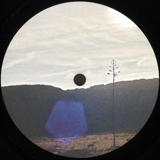 Jakob Seidensticker — After We’re All Gone EP vinyl cover