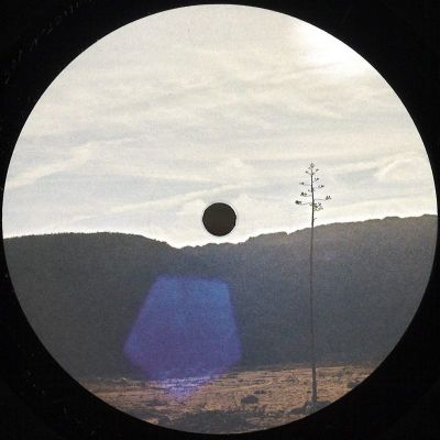 Jakob Seidensticker — After We’re All Gone EP vinyl cover