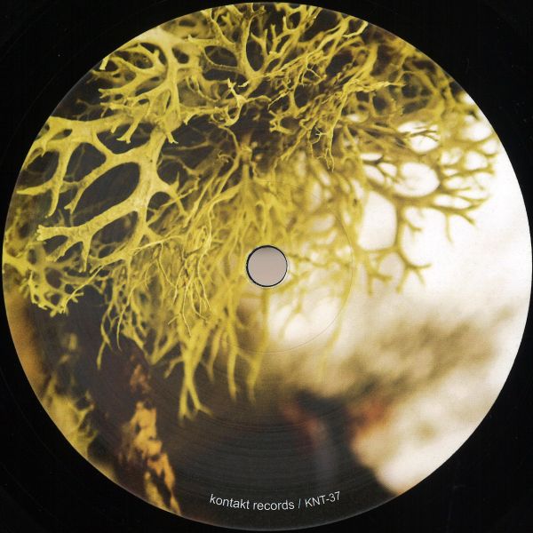 Matt Thibideau — SUBDUCTION & SHADOWS vinyl cover