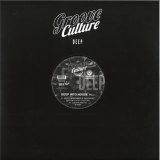 Ricky Montanari, Discoplex, Luca Olivotto, Gianni Bini — Deep Into House Vol.3 vinyl cover
