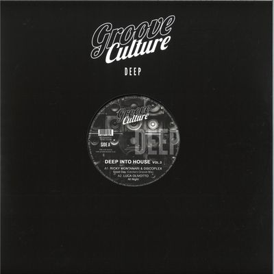 Ricky Montanari, Discoplex, Luca Olivotto, Gianni Bini — Deep Into House Vol.3 vinyl cover