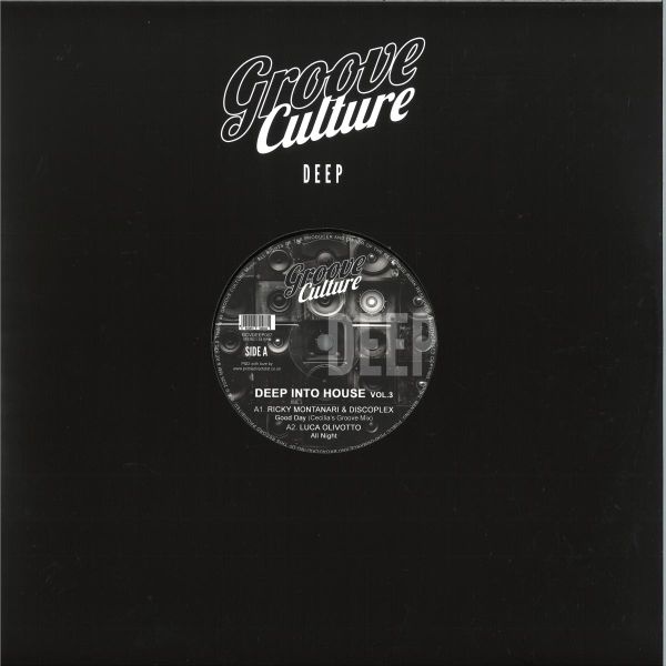 Ricky Montanari, Discoplex, Luca Olivotto, Gianni Bini — Deep Into House Vol.3 vinyl cover