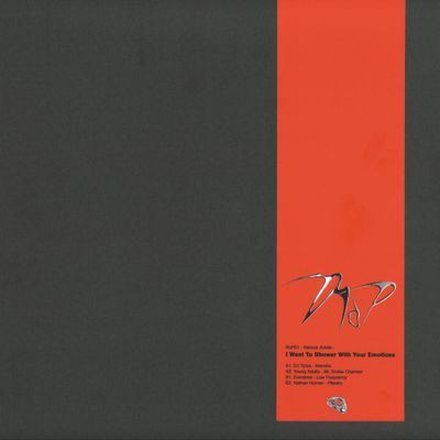 Various — I Want To Shower With Your Emotions LP vinyl cover