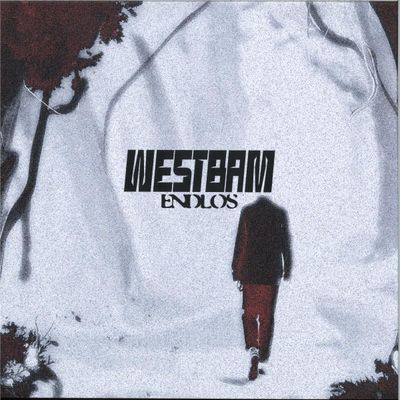 Westbam — Endlos vinyl cover