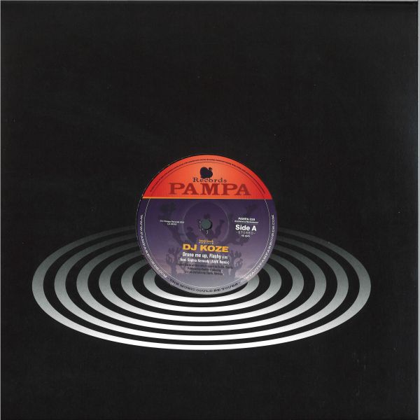 Dj Koze — knock knock Remixes vinyl cover