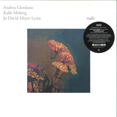 Andrea Giordano, Kalle Moberg, Jo David Meyer Lysne — Radis LP vinyl cover