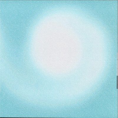 manu de soleure — searching for the baby nautilus vinyl cover
