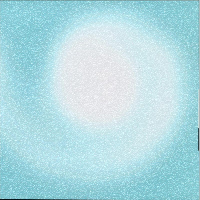 manu de soleure — searching for the baby nautilus vinyl cover