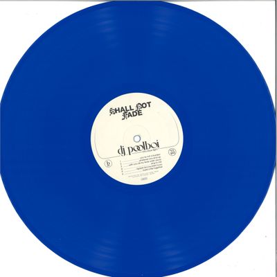 Dj Poolboi — Into Blue Light LP vinyl cover