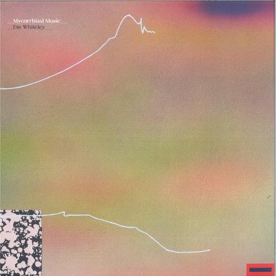 Ess Whiteley — Mycorrhizal Music LP vinyl cover