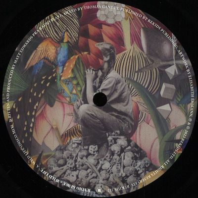 Radio Slave — Wild Life vinyl cover