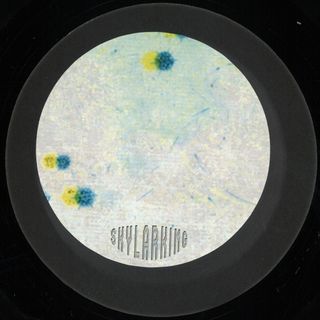 Sl Jung — Coherence vinyl cover