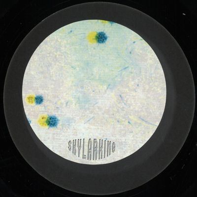 Sl Jung — Coherence vinyl cover