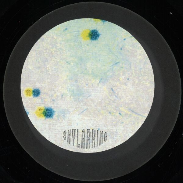 Sl Jung — Coherence vinyl cover