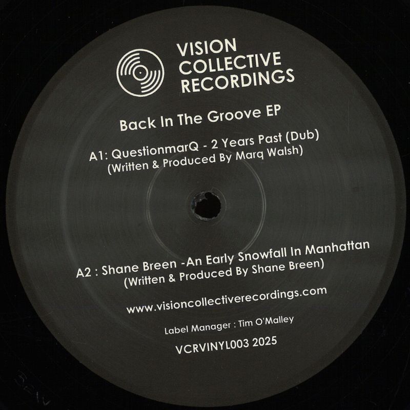 Various — Back In The Groove EP vinyl cover