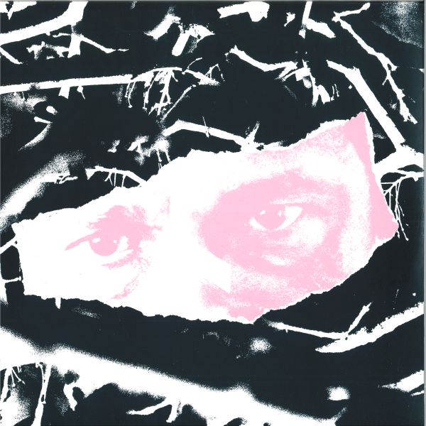 Biome — Fargo vinyl cover