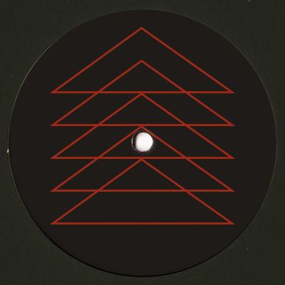 Ackermann — The House Always Wins LP vinyl cover