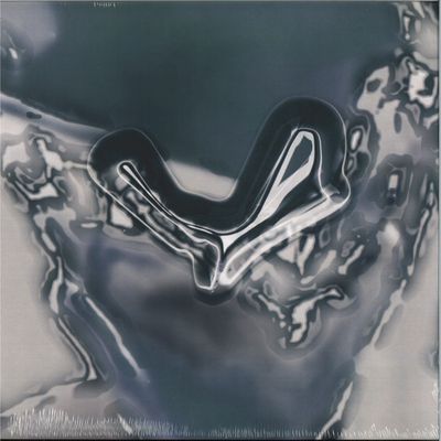 Spekki Webu — Neural Network LP 2x12" vinyl cover