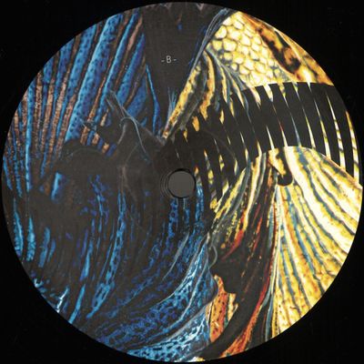 Duc In Altum — Midnight Sun vinyl cover