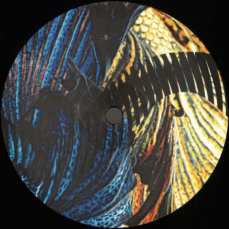 Duc In Altum — Midnight Sun vinyl cover