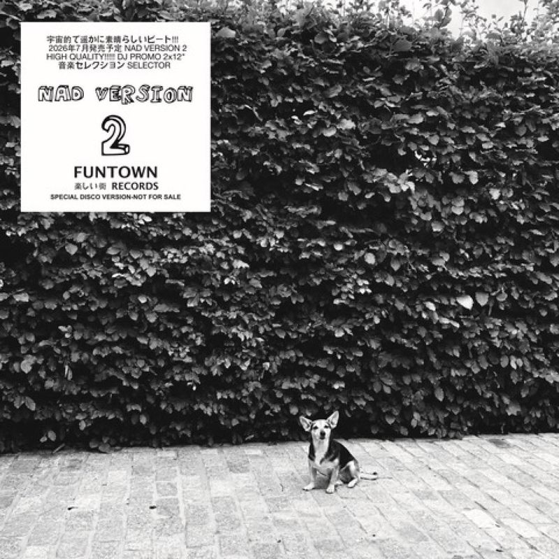 Nad — NAD Version 2 (2x12") vinyl cover