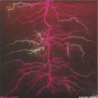 Leifur James — MAGIC SEEDS LP vinyl cover