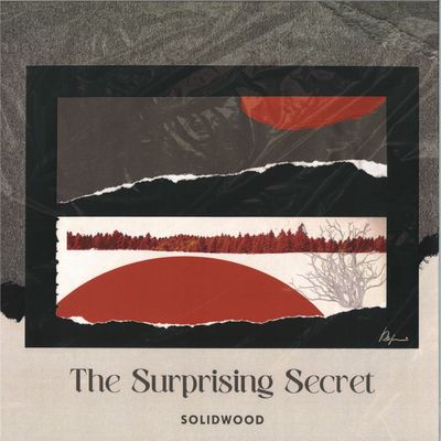 Solidwood — The Surprising Secret LP vinyl cover