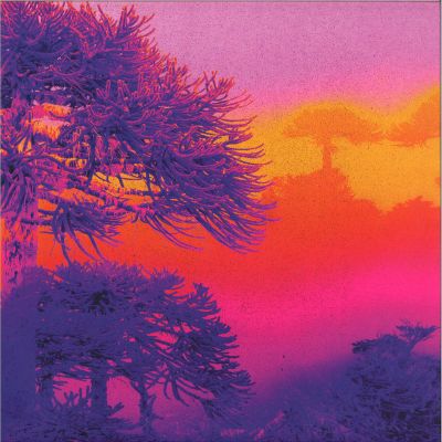 Bosquemar — BOSQUEMAR EP vinyl cover