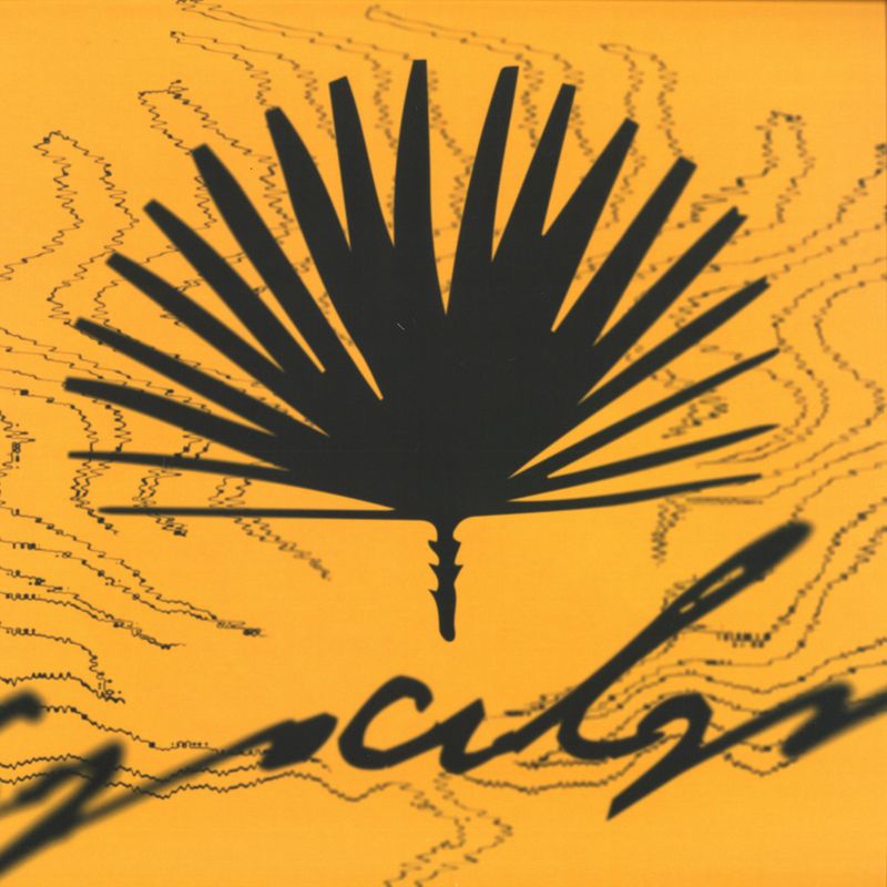 Various — CINC vinyl cover