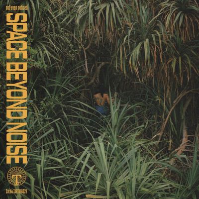 not even noticed — space beyond noise LP vinyl cover